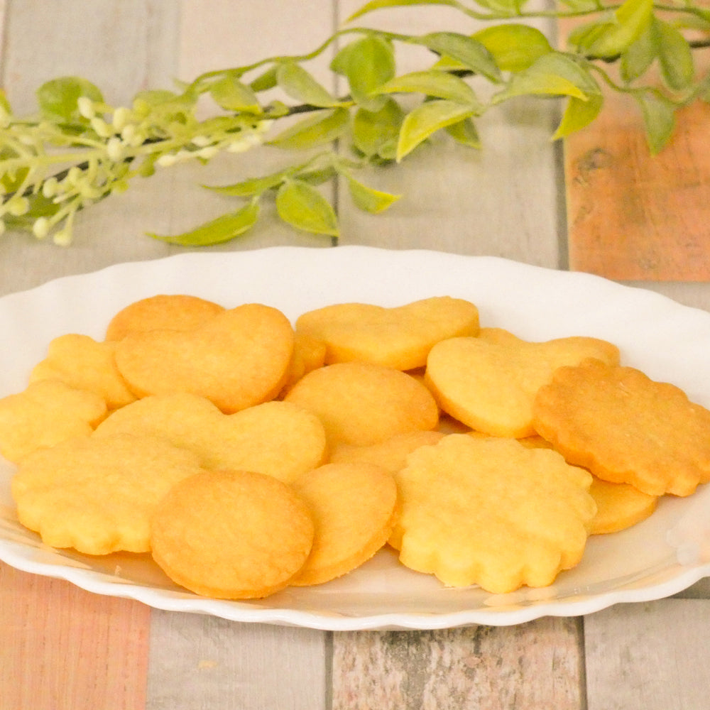 佐賀産こむぎ子(500g) ２個セット（薄力×2）　